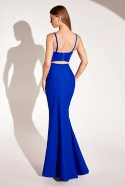 Ladivine Amoris T9002 Long Fitted Embellished Bodice Formal Gown(Ladivine Amoris T9002 Long Fitted Embellished Bodice Formal Gown) -Dress Promotion Store T9002P ROYAL BACK