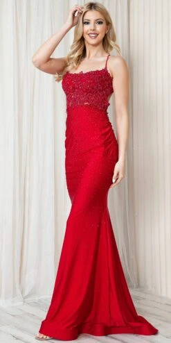 Amelia Couture TM1001 Long Fitted Rhinestone Embroidered Sheath Dress(Amelia Couture Tm1001 Long Fitted Rhinestone Embroidered Sheath Dress) -Dress Promotion Store TM1001 amelia red side2