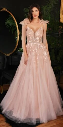 Ladivine CB097 Long A-Line Tulle Gown With Floral Detail(Ladivine Cb097 Long A Line Tulle Gown With Floral Detail) -Dress Promotion Store cb097 blush