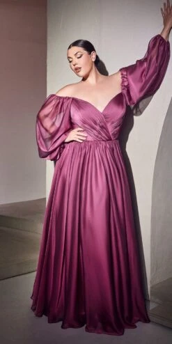 Cinderella Divine CD243C Long Sleeve A-Line Chiffon Dress(Long Sleeve A Line Dress By Cinderella Divine Cd243c)