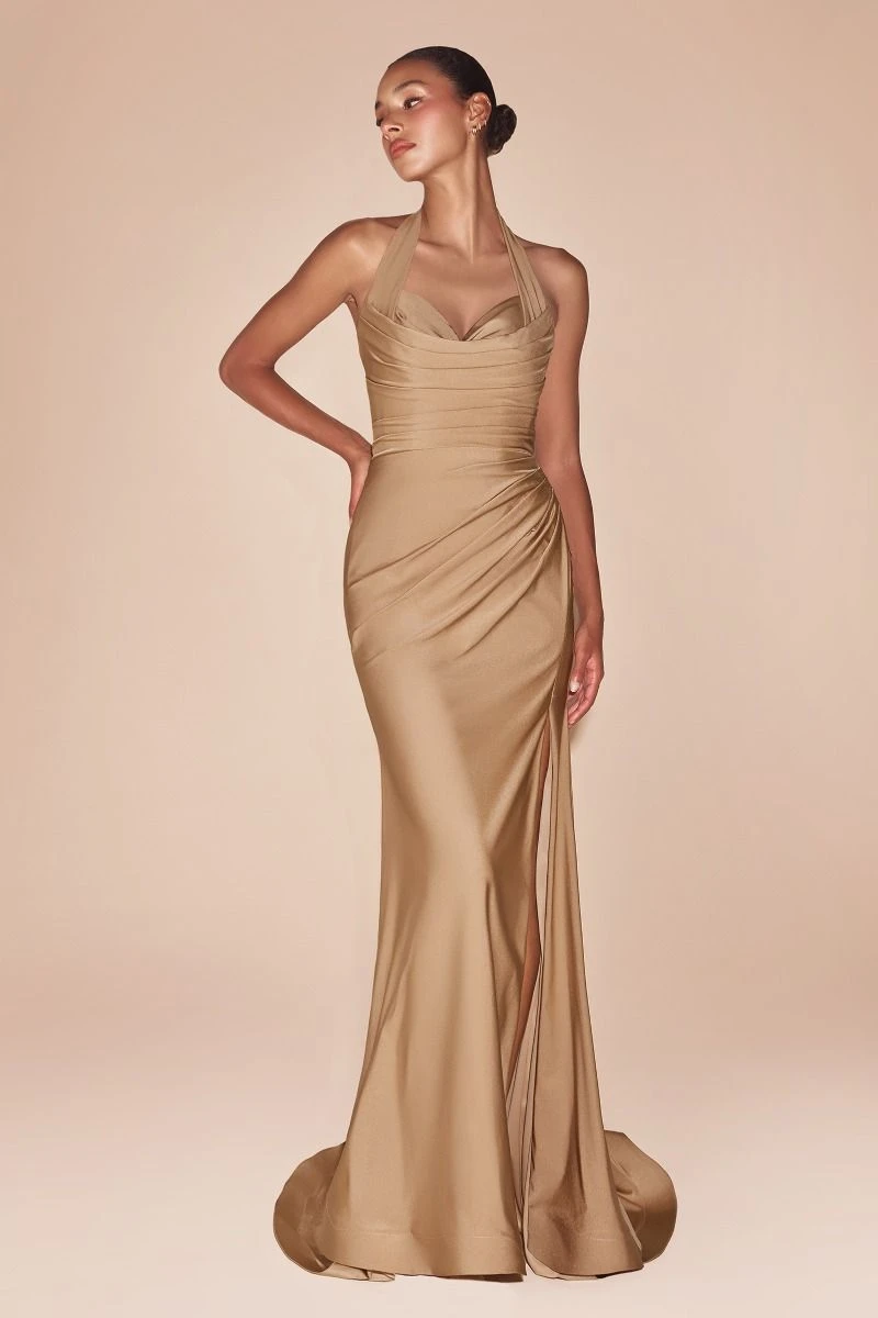 Ladivine CD796 Dress Floor Length Stretch Satin Halter Fitted Gown(Ladivine Cd796 Dress Floor Length Stretch Satin Halter Fitted Gown) 15 Ladivine CD796 Dress Floor Length Stretch Satin Halter Fitted Gown(Ladivine Cd796 Dress Floor Length Stretch Satin Halter Fitted Gown) - Image 13